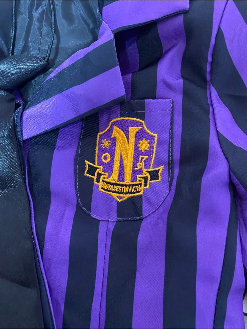 Wednesday season 2 school uniform costume